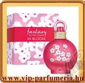 Fantasy in Bloom