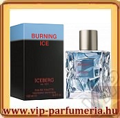 Iceberg Burning Ice