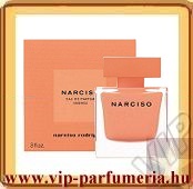 Narciso Ambr�e
