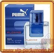 Puma Flowing