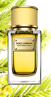 Dolce & Gabbana Velvet Mimosa Bloom női parf�m  150ml EDP