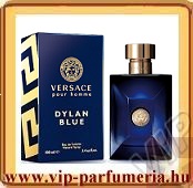 Versace Pour Homme Dylan Blue